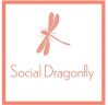 Social Dragonfly